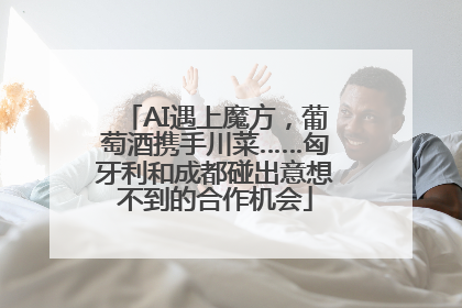 AI遇上魔方，葡萄酒携手川菜……匈牙利和成都碰出意想不到的合作机会