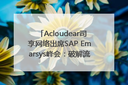 Acloudear司享网络出席SAP Emarsys峰会：破解流量困局，驱动精准增长