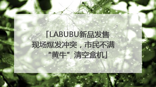 LABUBU新品发售现场爆发冲突，市民不满“黄牛”清空盒机